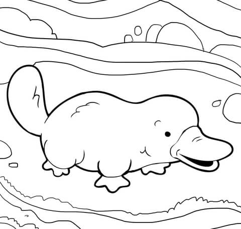 Cute Platypus Coloring Page